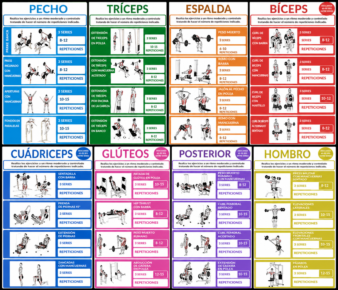 Planillas de entrenamiento coloridas con ejercicios y series