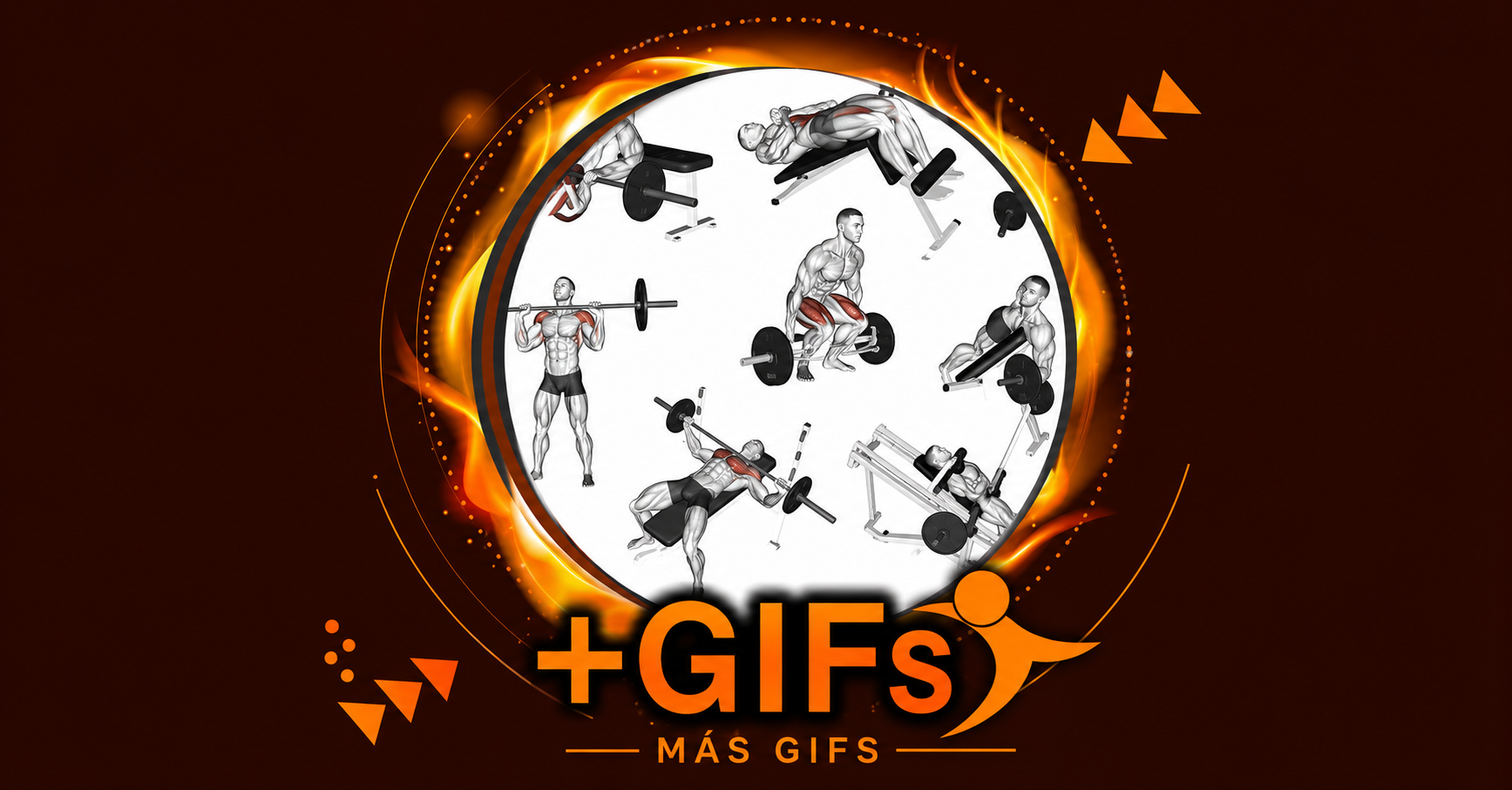 Mas de 275 GIFs explicativos de ejercicios